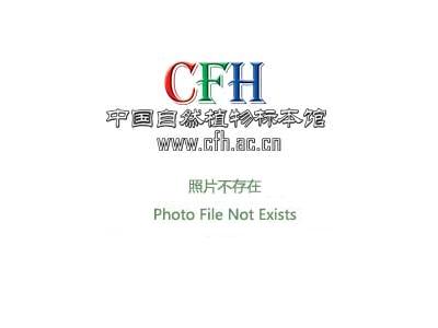 甘肃合作扎油沟（夏河县）