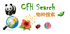 CFH Search